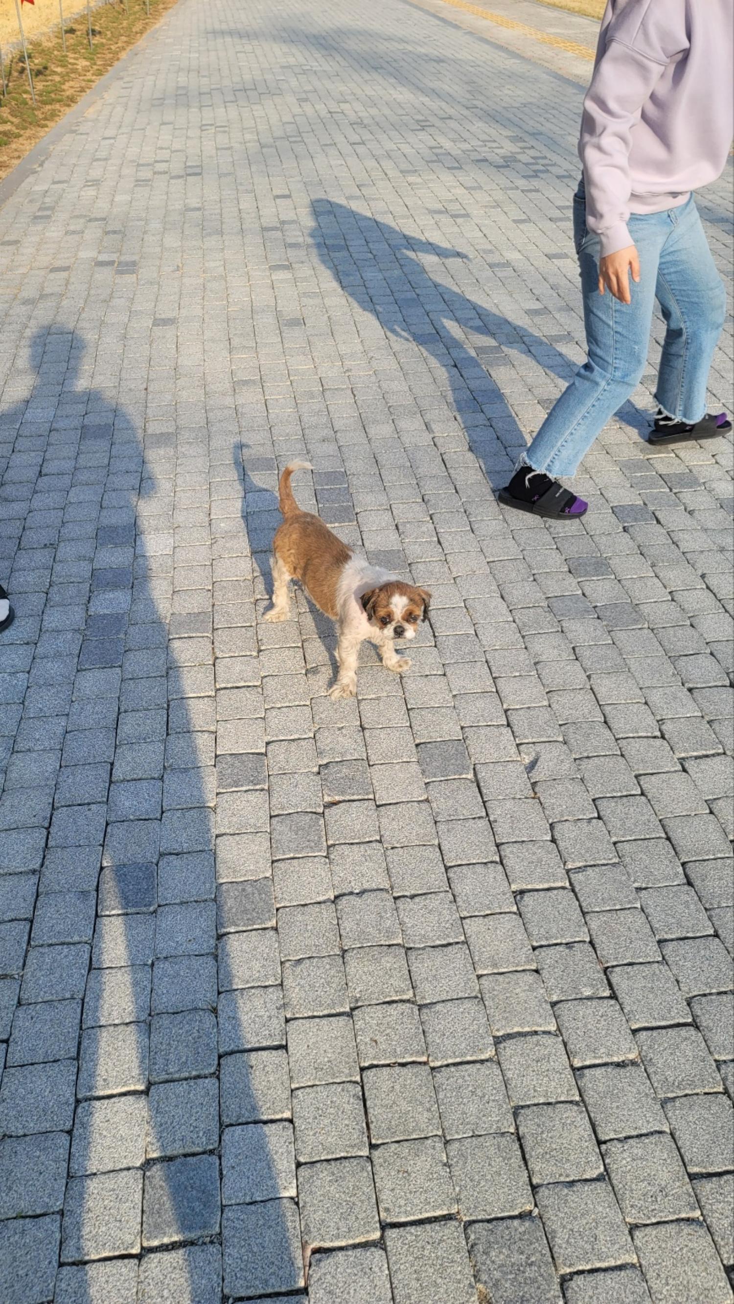 임실유기동물보호센터_445476202300084